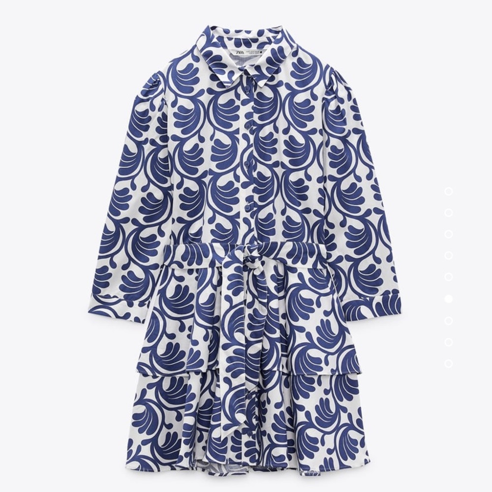 Zara Printed Dress